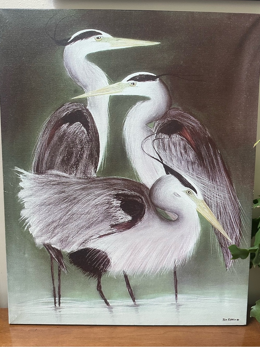 Set of 2 Hand Painted Canvas with Blue Heron’s by Tom Tiffin